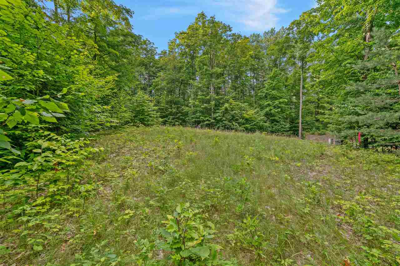 1387 Andover Club Drive Harbor Springs MI 49740