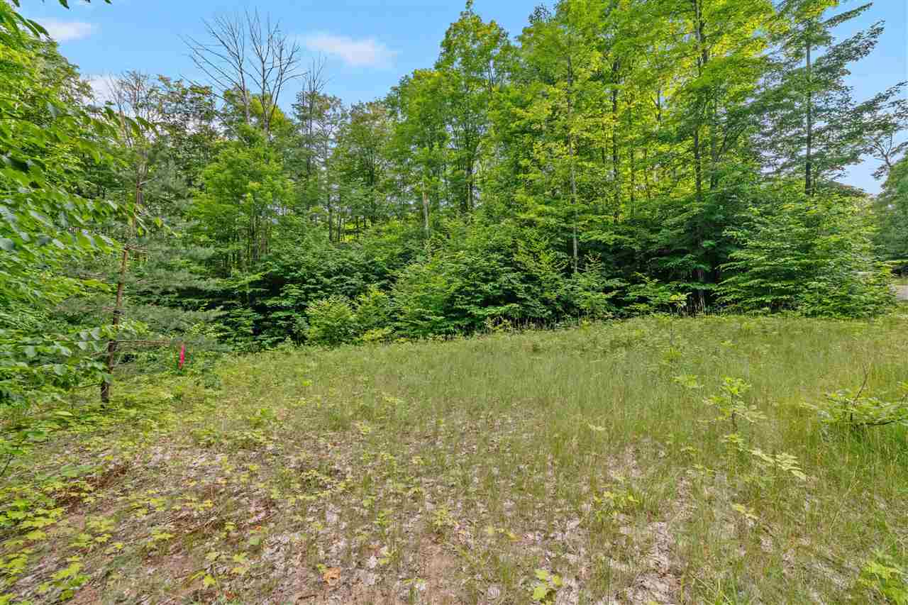 1387 Andover Club Drive Harbor Springs MI 49740