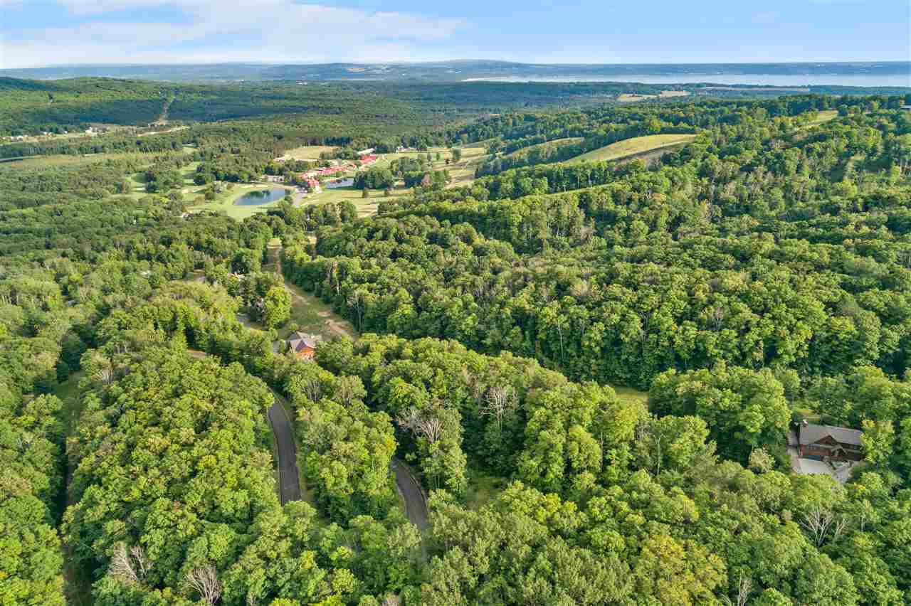 1387 Andover Club Drive Harbor Springs MI 49740