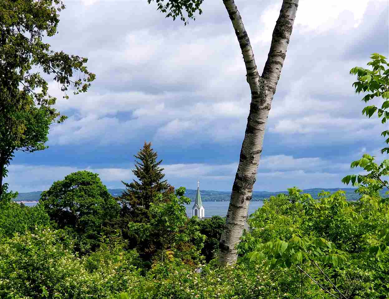 5850 Deer Run Trail Harbor Springs MI 49740