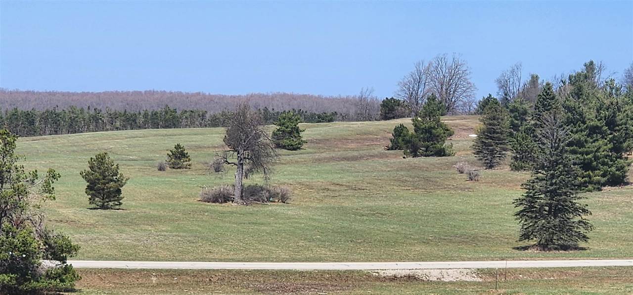 5850 Deer Run Trail Harbor Springs MI 49740
