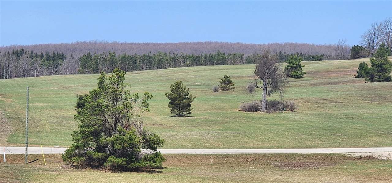 5850 Deer Run Trail Harbor Springs MI 49740