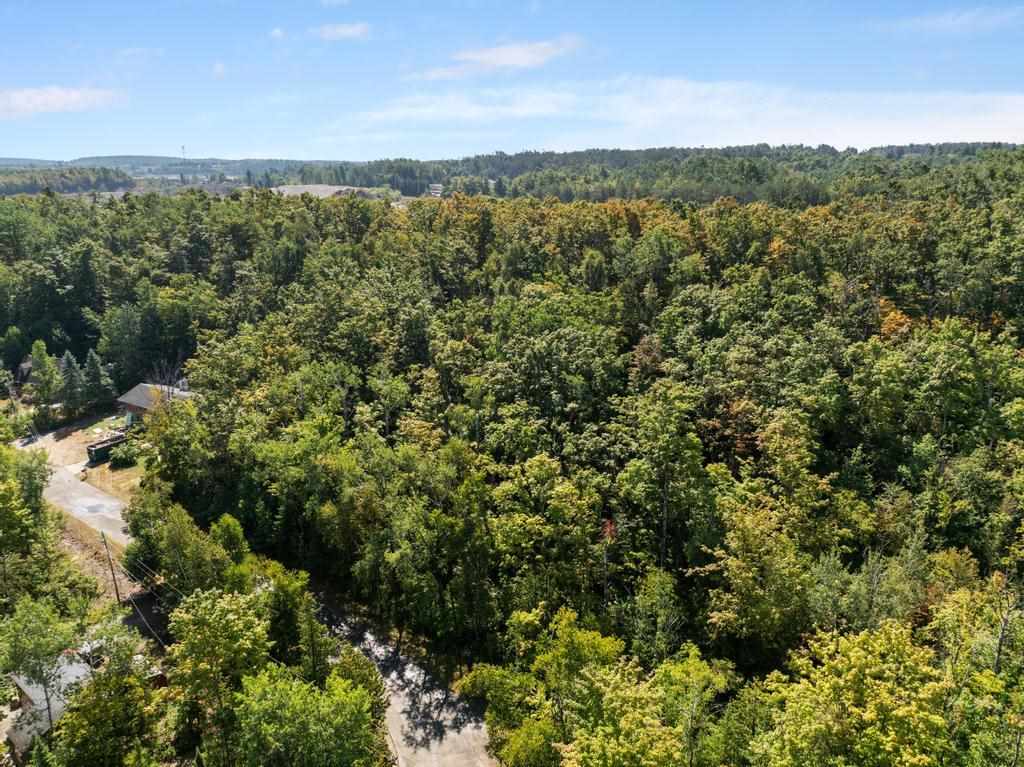 6768 Michigan Shores Drive Charlevoix MI 49720