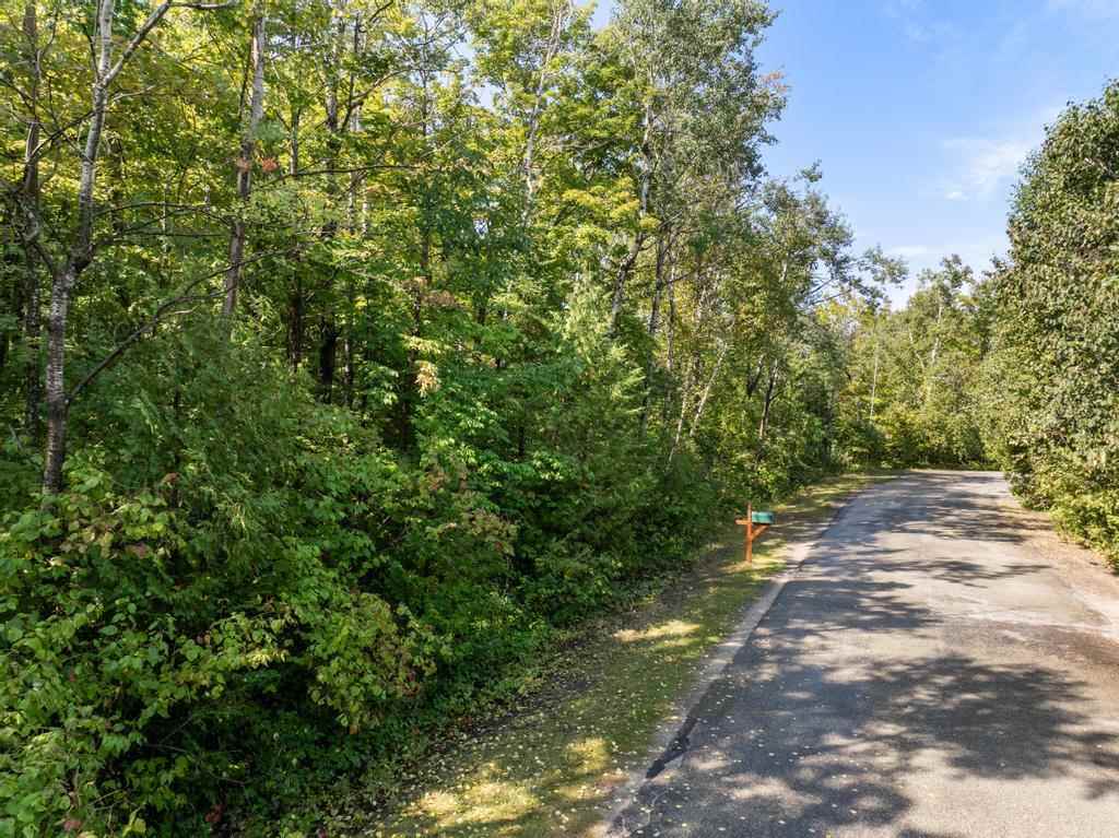 6768 Michigan Shores Drive Charlevoix MI 49720