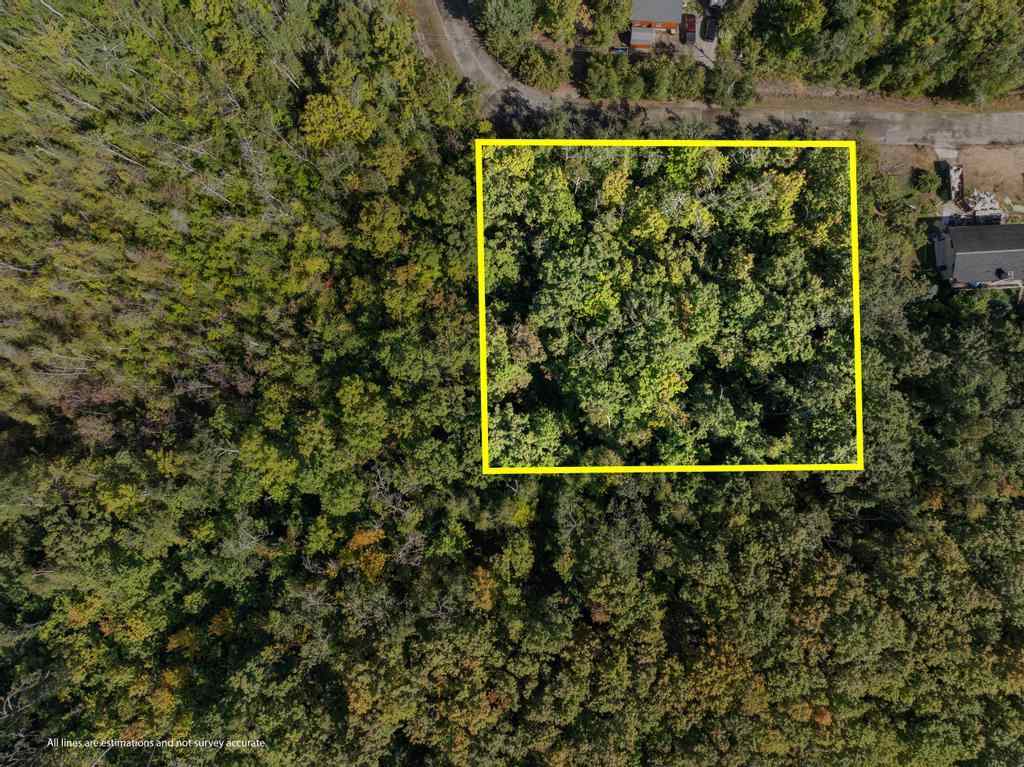 6768 Michigan Shores Drive Charlevoix MI 49720