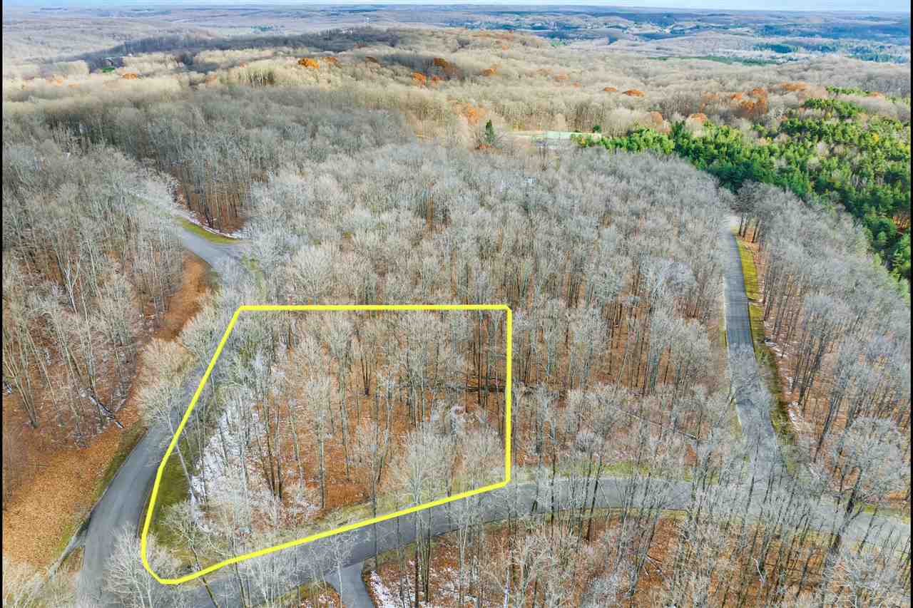 158 Forest Highlands Drive Bellaire MI 49615