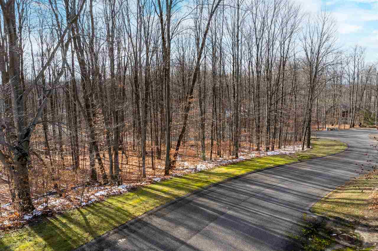 158 Forest Highlands Drive Bellaire MI 49615