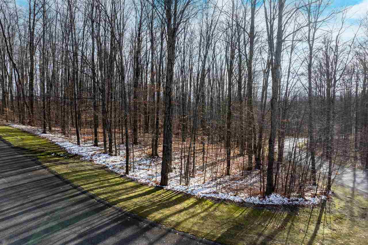 158 Forest Highlands Drive Bellaire MI 49615