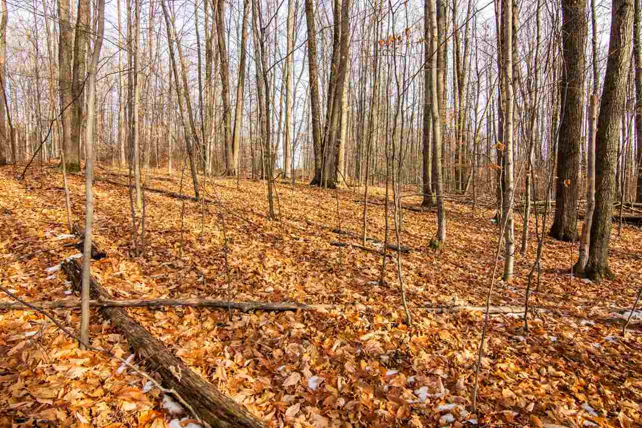 158 Forest Highlands Drive Bellaire MI 49615