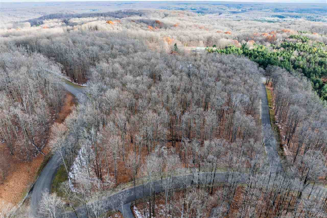 158 Forest Highlands Drive Bellaire MI 49615