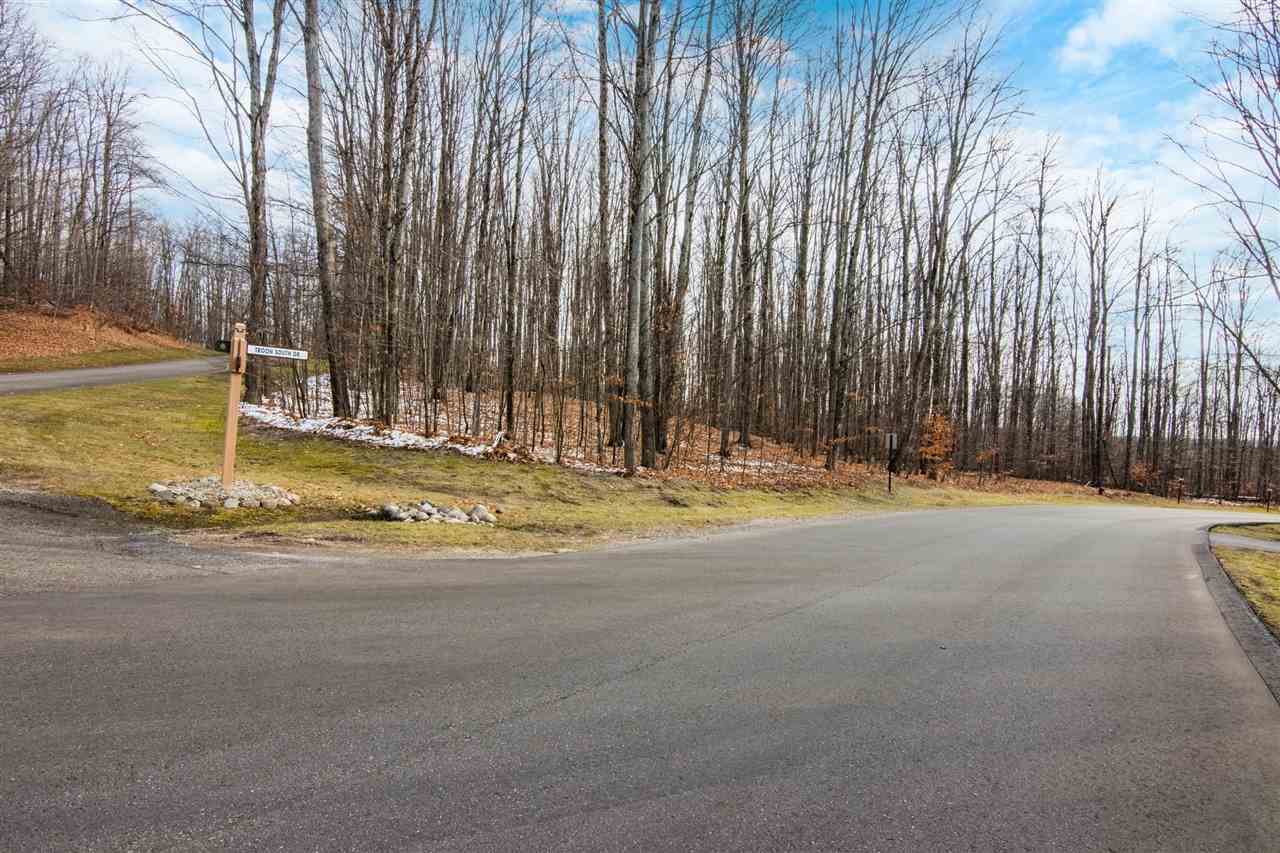 158 Forest Highlands Drive Bellaire MI 49615