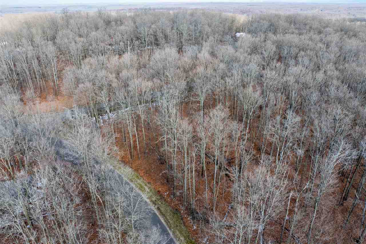 158 Forest Highlands Drive Bellaire MI 49615