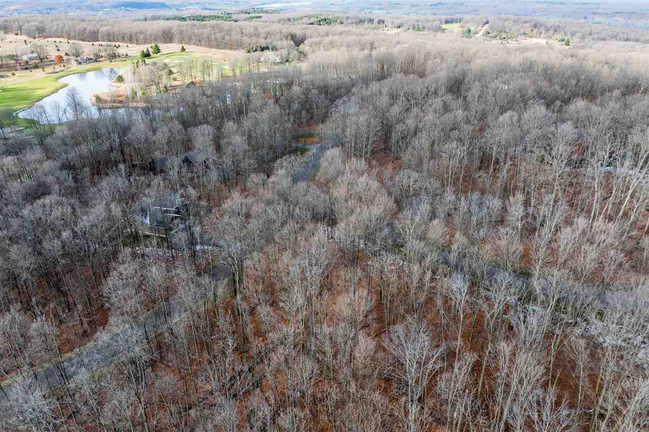 158 Forest Highlands Drive Bellaire MI 49615