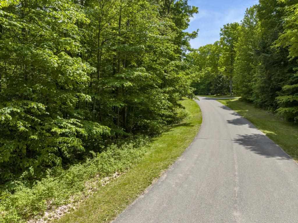 8040 Pleasantview Woods Drive Harbor Springs MI 49740