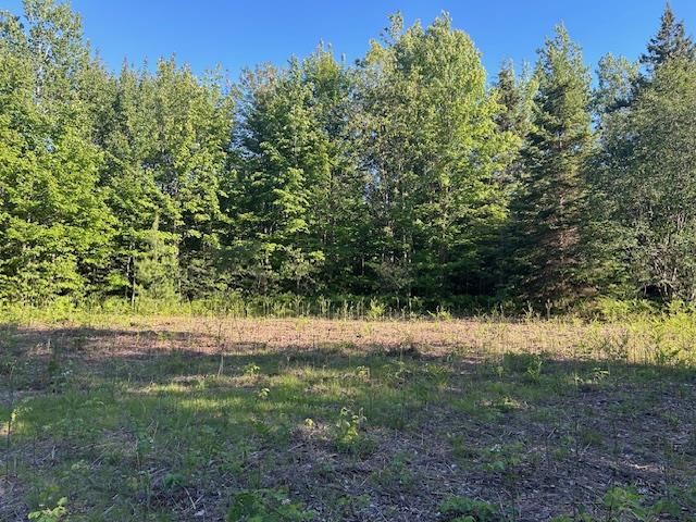 8586 N Us 31 Levering MI 49755