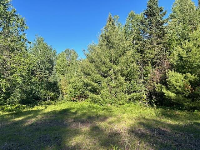 8586 N Us 31 Levering MI 49755