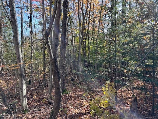 8586 N Us 31 Levering MI 49755