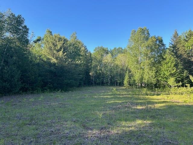 8586 N Us 31 Levering MI 49755