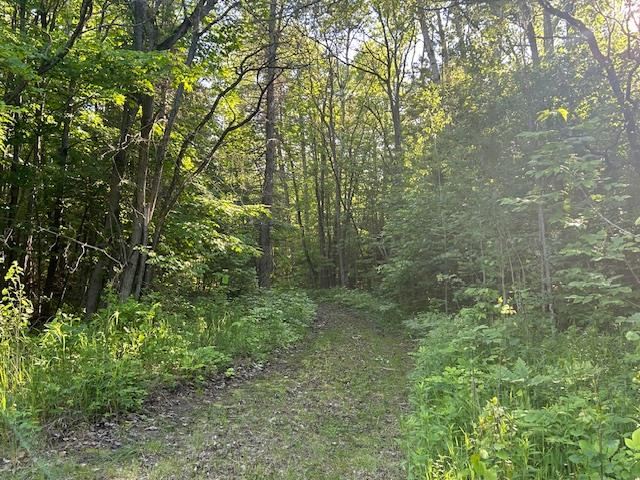 8586 N Us 31 Levering MI 49755