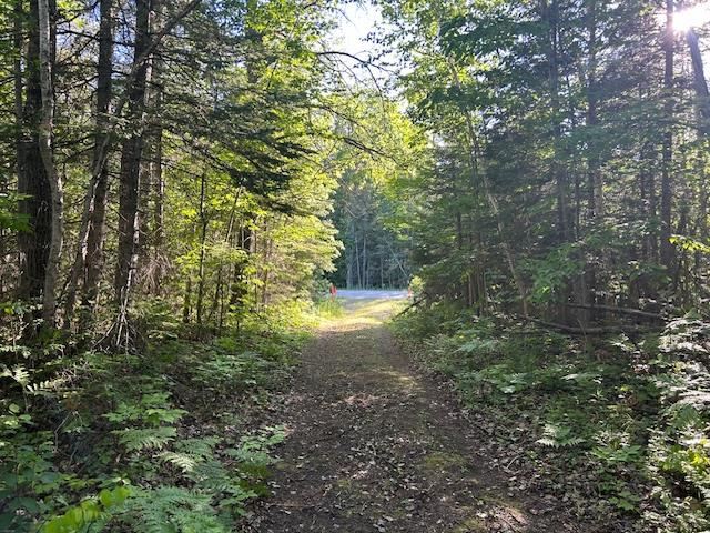 8586 N Us 31 Levering MI 49755