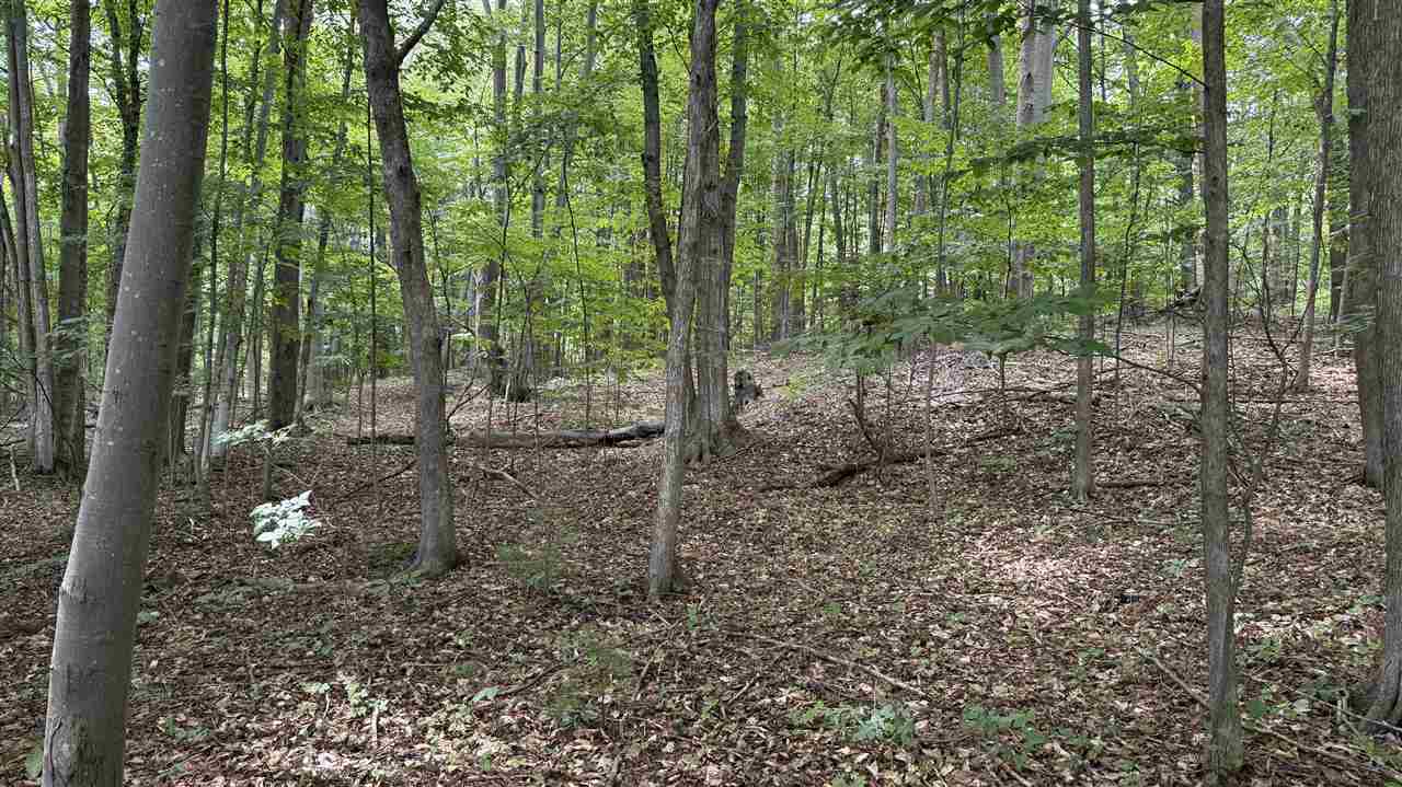Tbd N Us-31 Kewadin MI 49648
