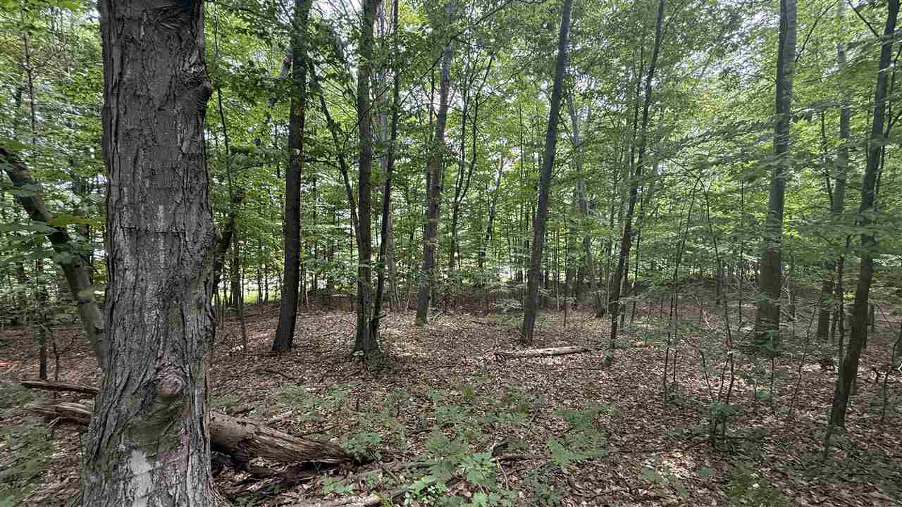 Tbd N Us-31 Kewadin MI 49648