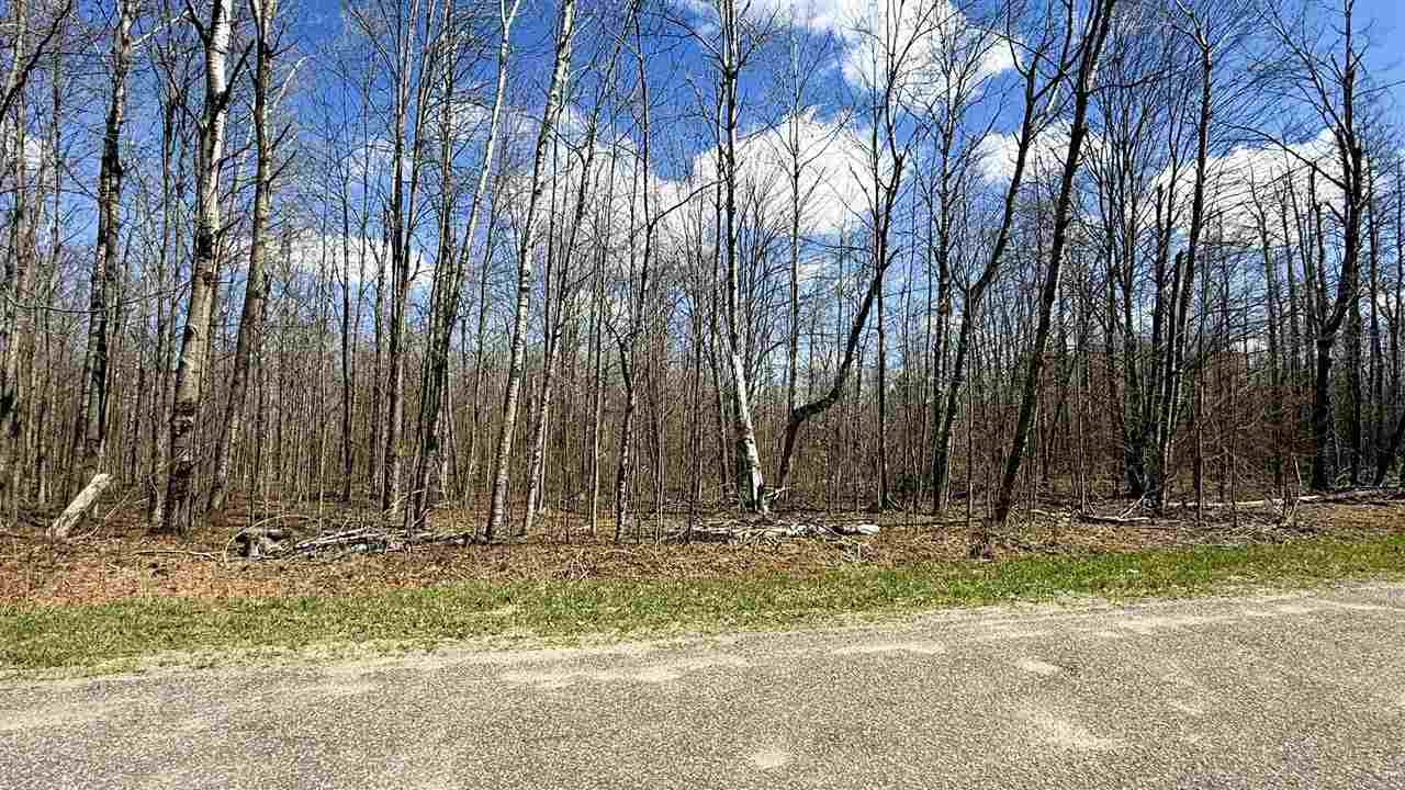 Lot 177 Wyndwood Drive Mancelona MI 49659