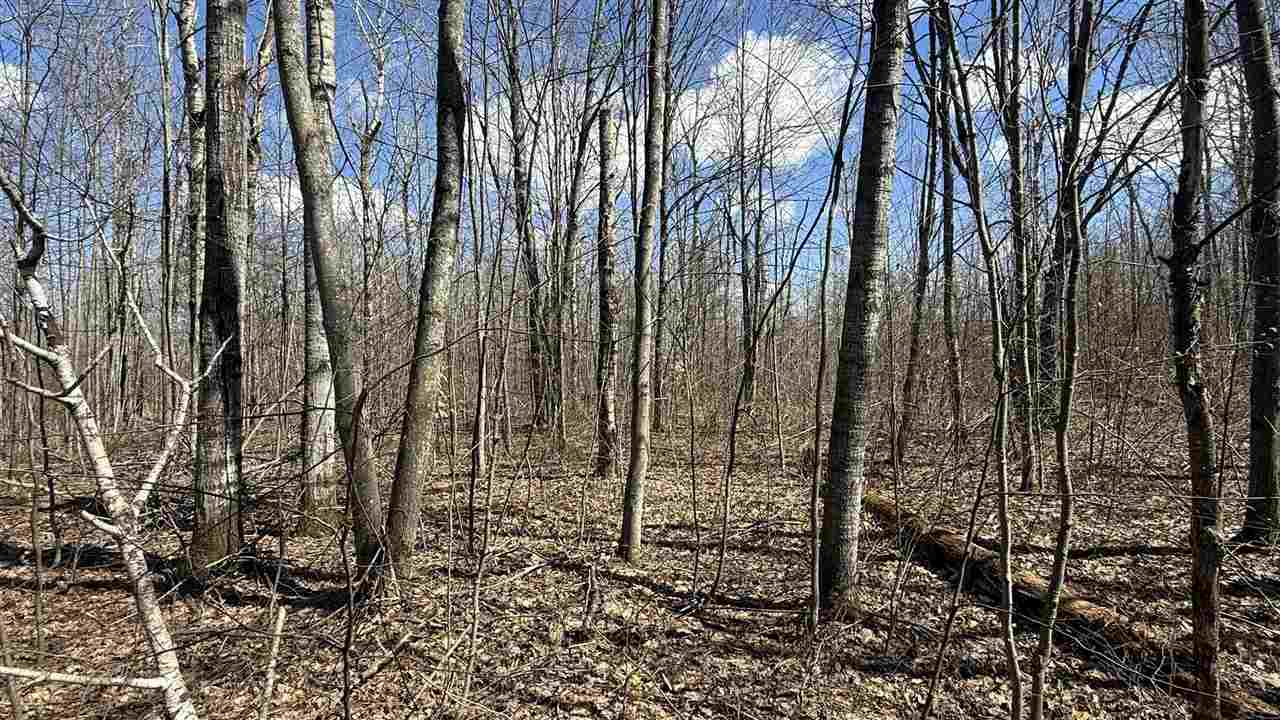 Lot 177 Wyndwood Drive Mancelona MI 49659