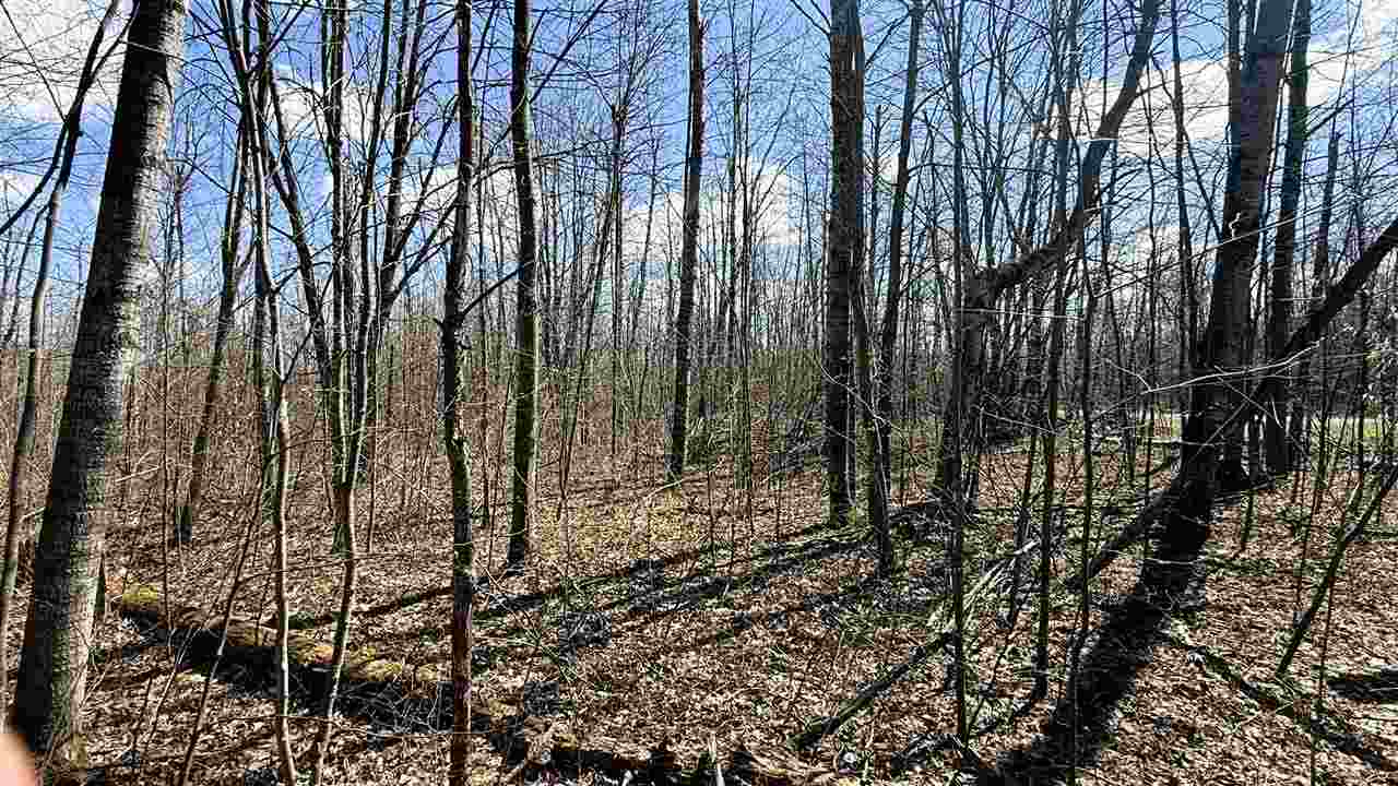 Lot 177 Wyndwood Drive Mancelona MI 49659