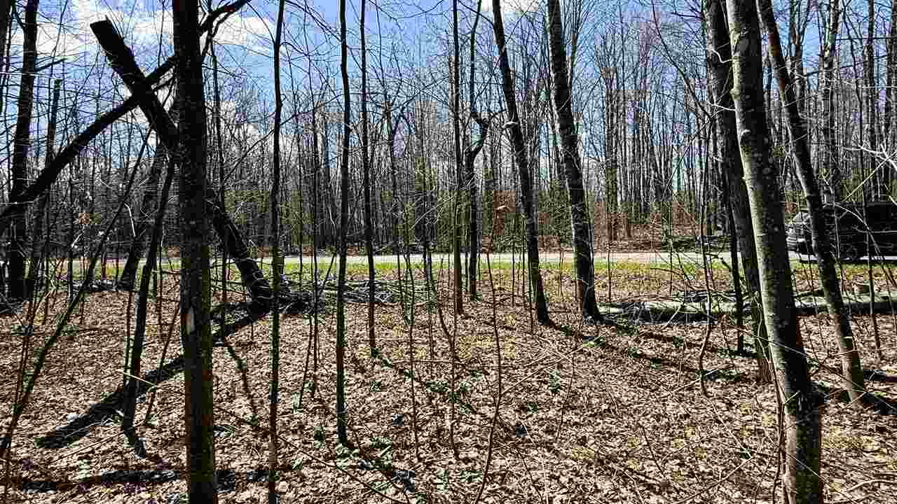 Lot 177 Wyndwood Drive Mancelona MI 49659