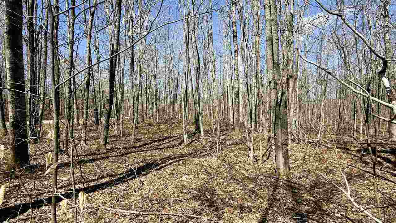 Lot 177 Wyndwood Drive Mancelona MI 49659