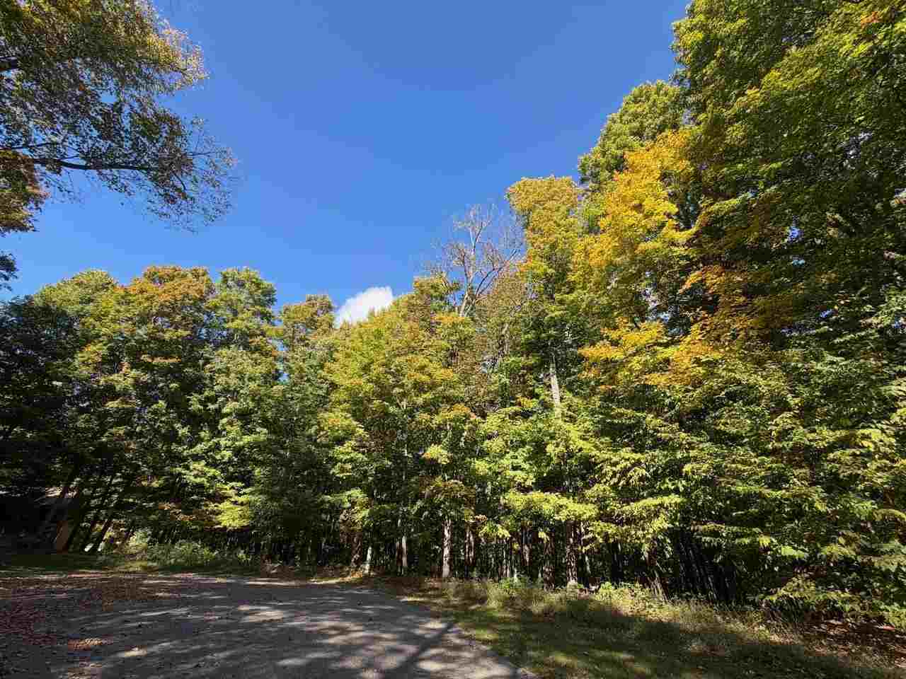 5705 Point O' Woods Bellaire MI 49615