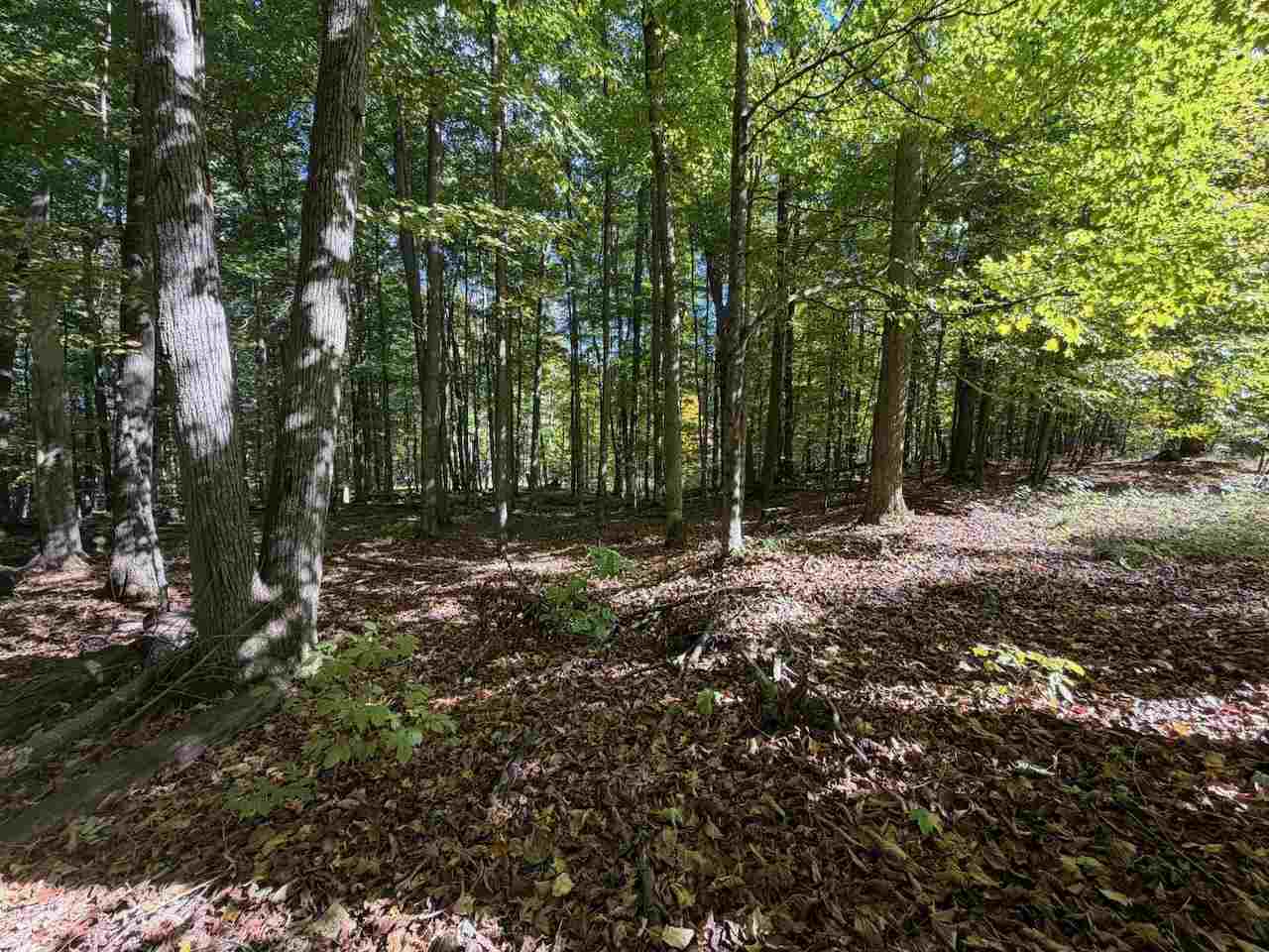 5705 Point O' Woods Bellaire MI 49615