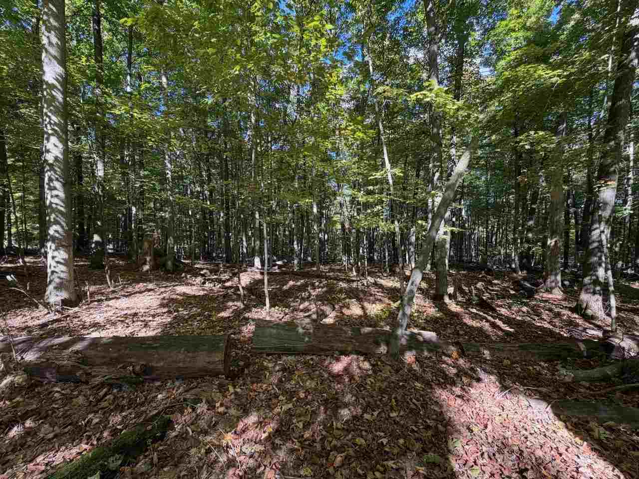 5705 Point O' Woods Bellaire MI 49615