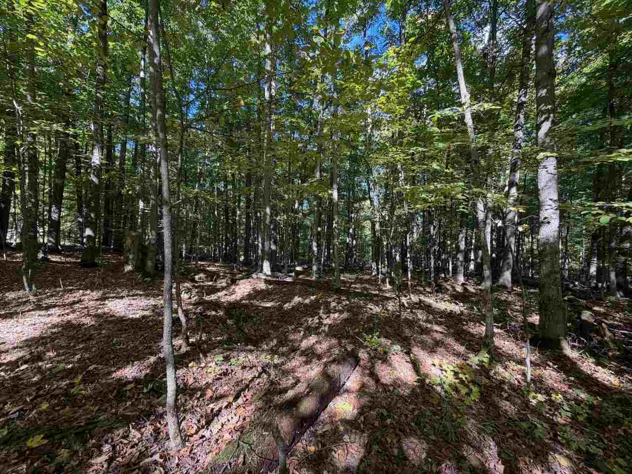 5705 Point O' Woods Bellaire MI 49615