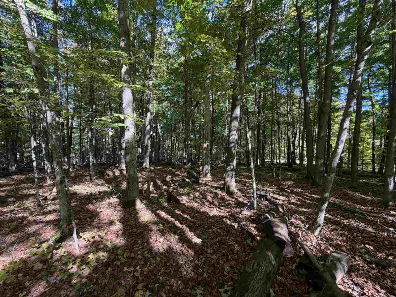 5705 Point O' Woods Bellaire MI 49615