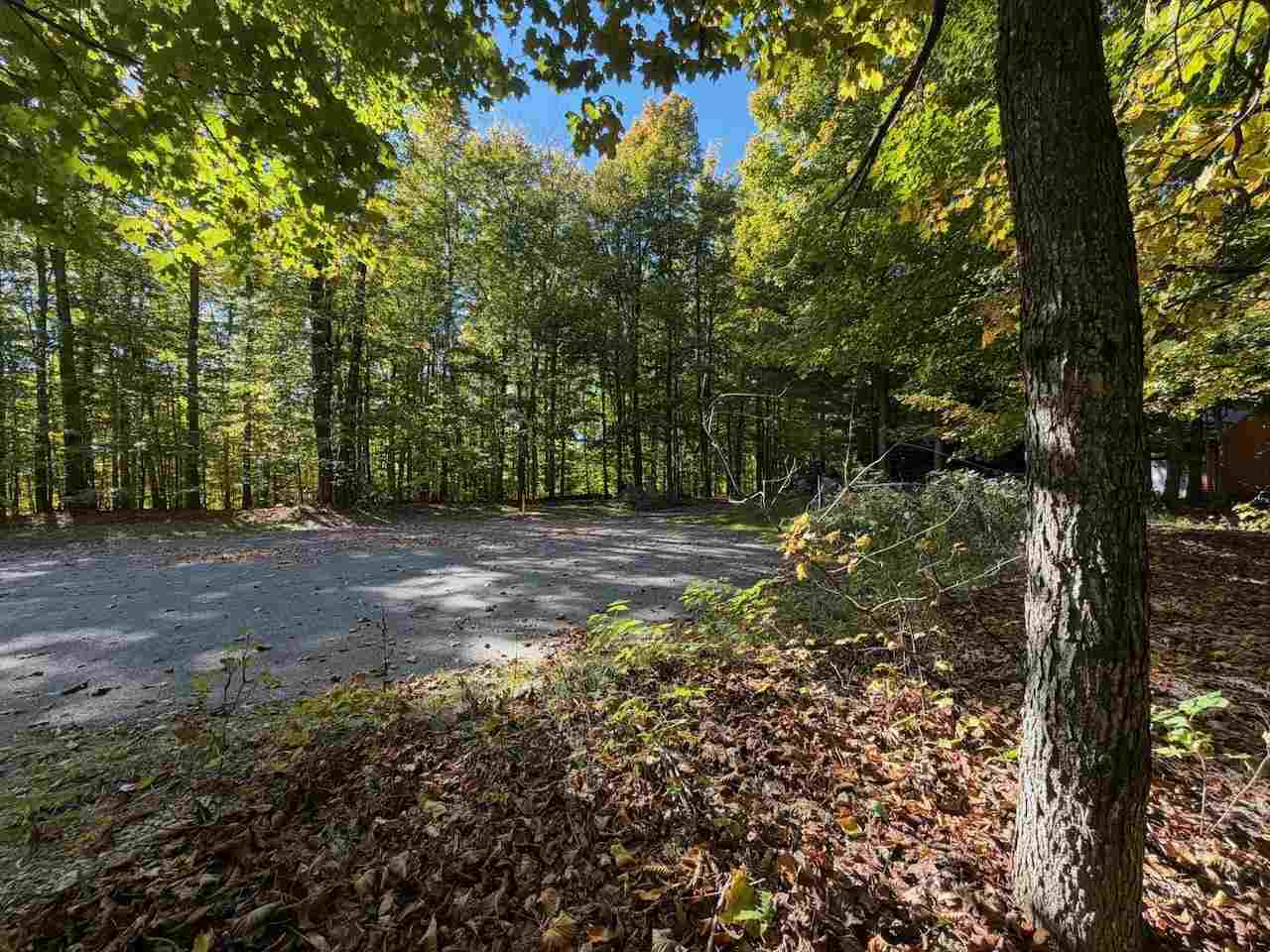 5705 Point O' Woods Bellaire MI 49615