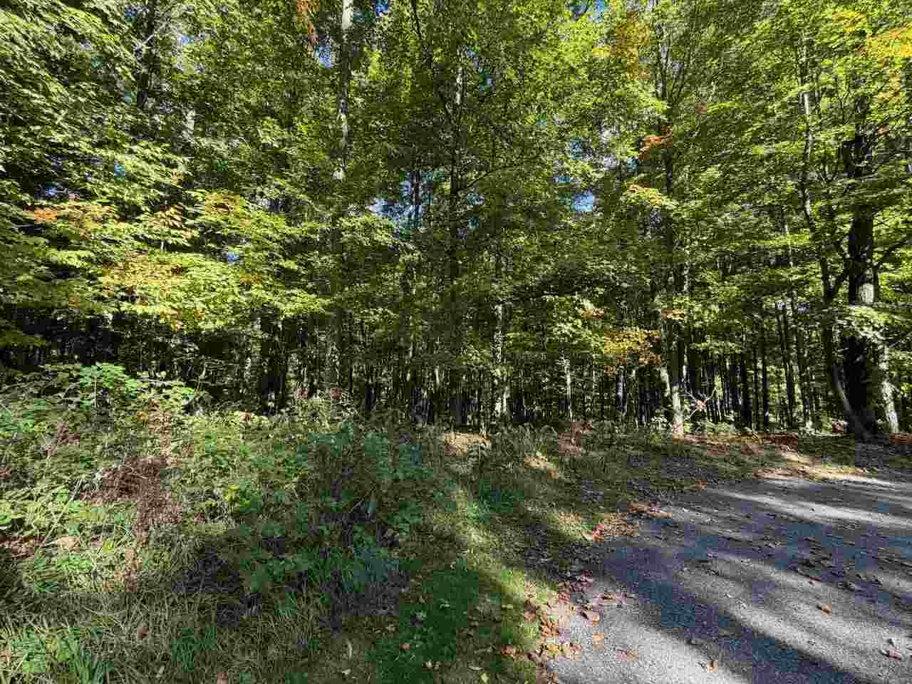5705 Point O' Woods Bellaire MI 49615