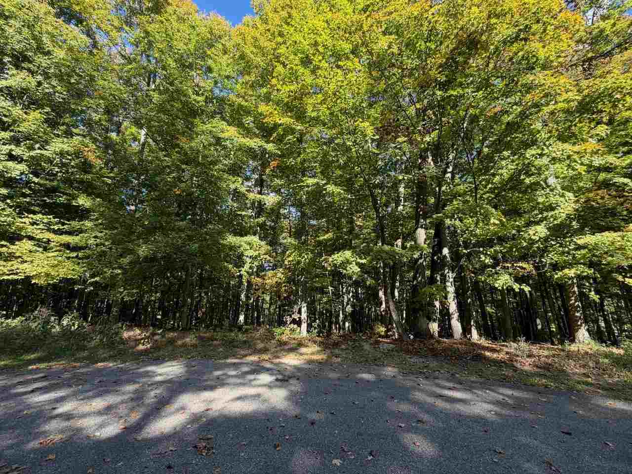 5705 Point O' Woods Bellaire MI 49615