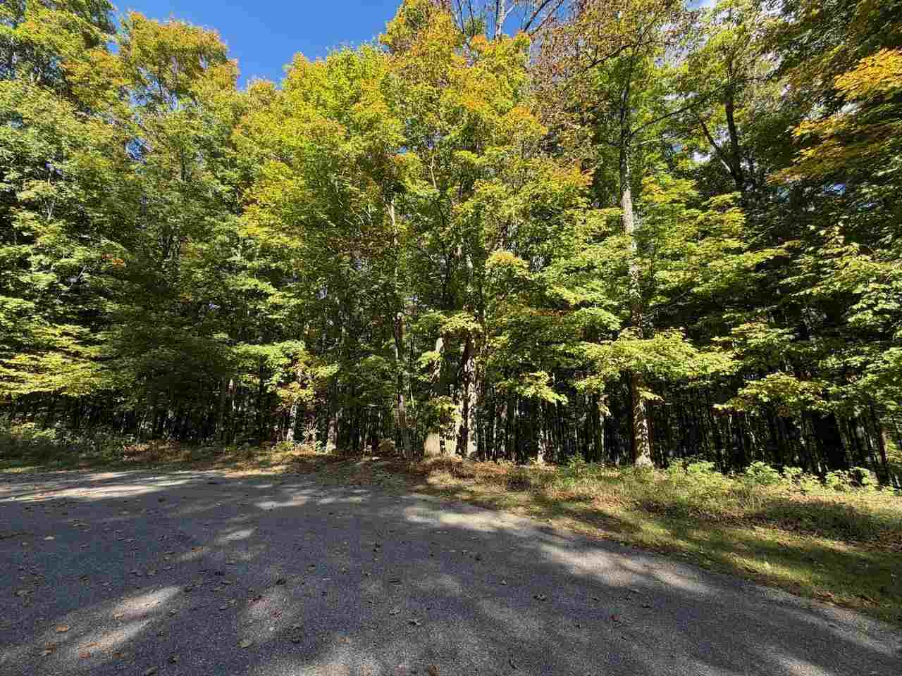 5705 Point O' Woods Bellaire MI 49615