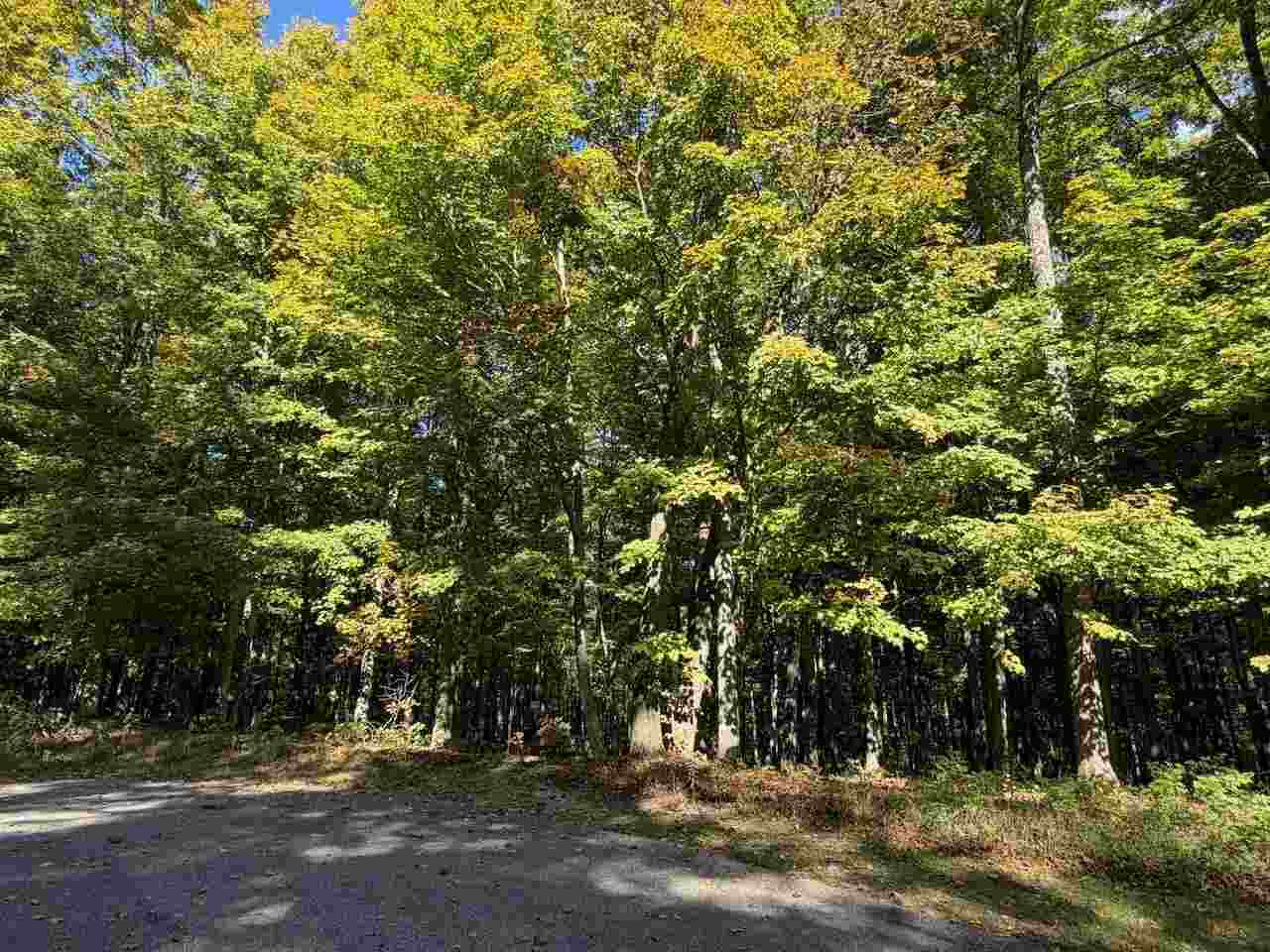 5705 Point O' Woods Bellaire MI 49615