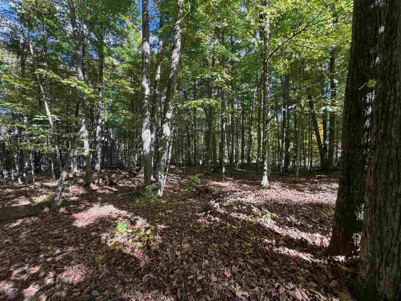 5705 Point O' Woods Bellaire MI 49615