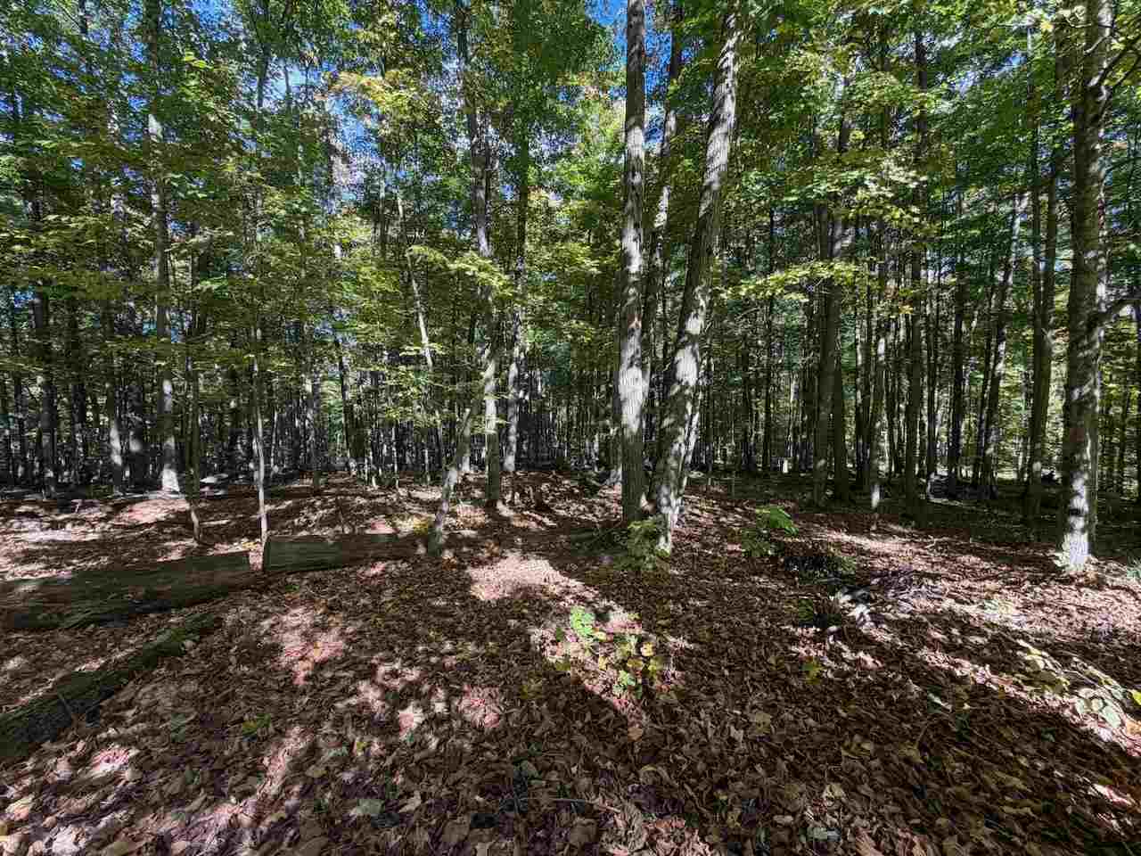 5705 Point O' Woods Bellaire MI 49615
