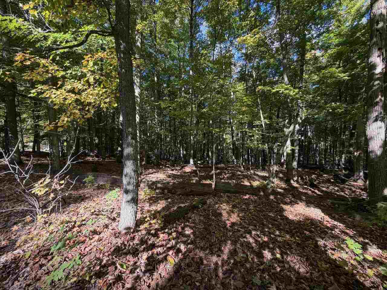 5705 Point O' Woods Bellaire MI 49615