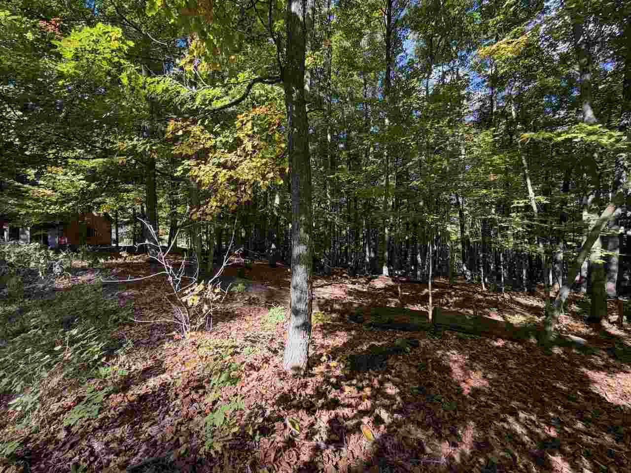 5705 Point O' Woods Bellaire MI 49615
