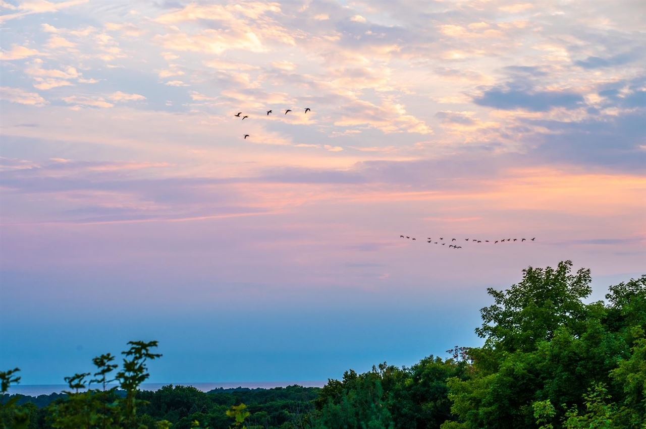 7880 Lindy Lane Harbor Springs MI 49740