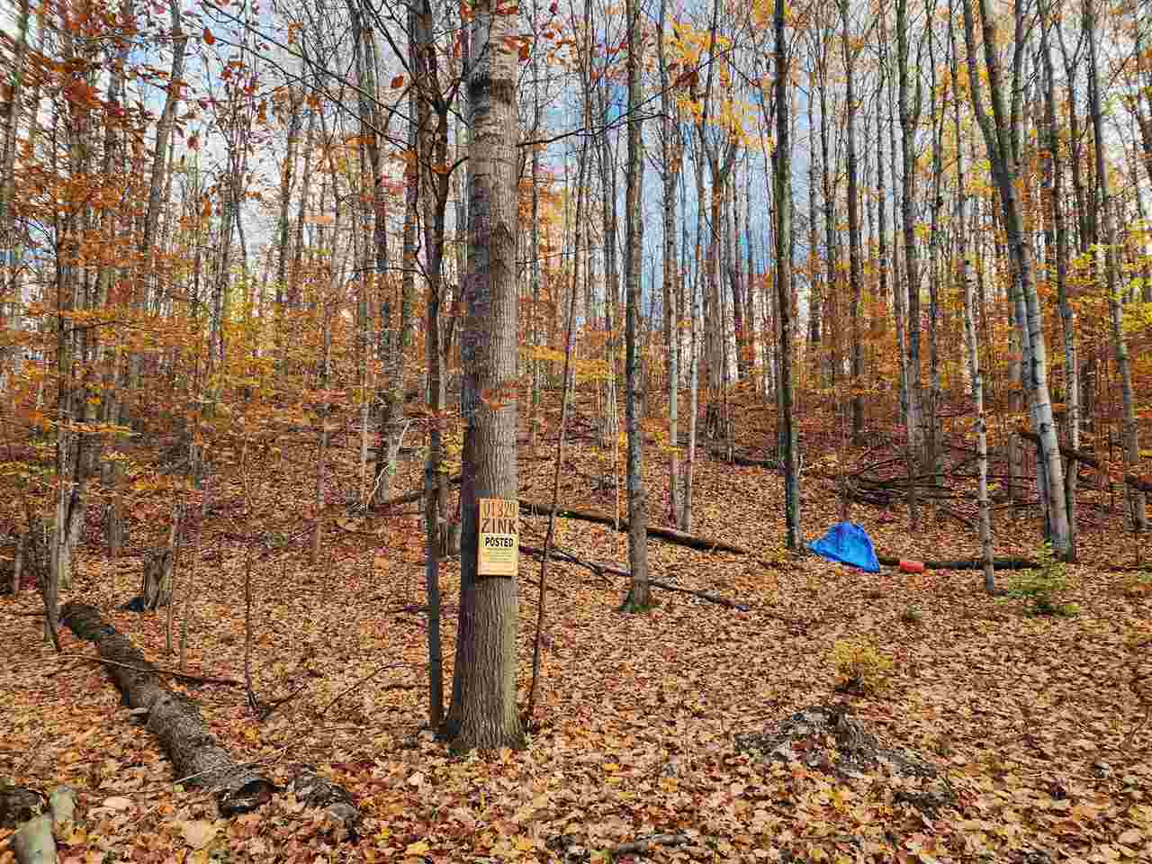 1329 Zink Road Boyne City MI 49712