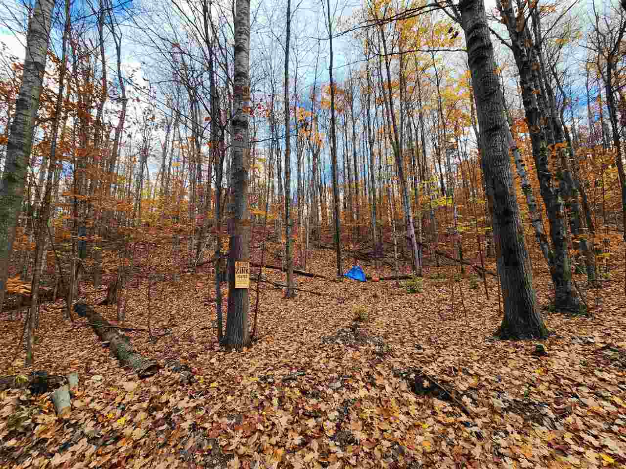 1329 Zink Road Boyne City MI 49712