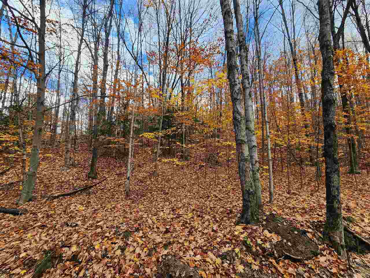 1329 Zink Road Boyne City MI 49712