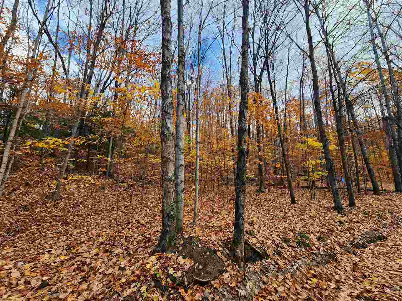 1329 Zink Road Boyne City MI 49712